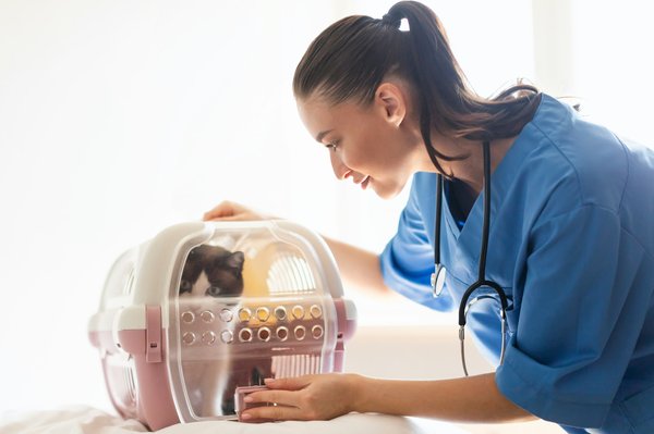 Horizon santé : découvrez des carrières prometteuses