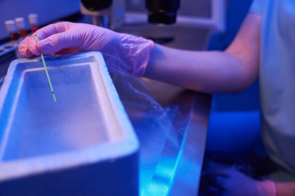 Secrets pour vitrifier un escalier neuf avec succès