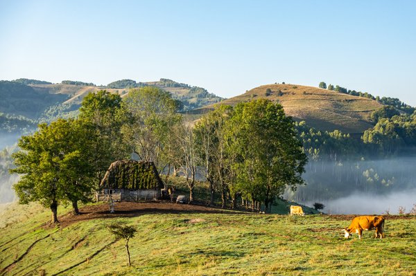 Top cottages à perpignan pour des séjours plein air tout le temps